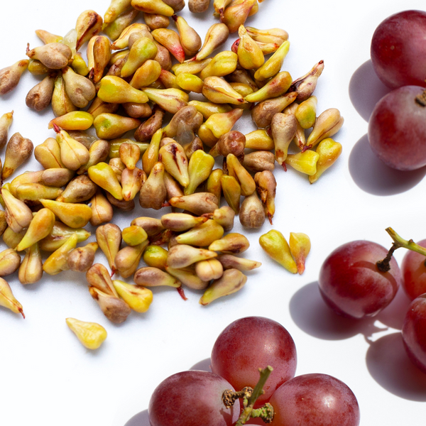Grapeseed OIL