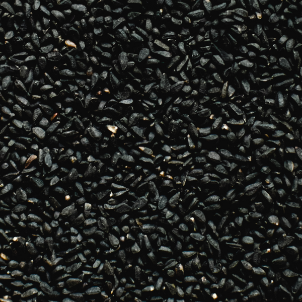 BLACK SEED OIL