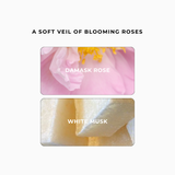 ROSE AURA BODY OIL