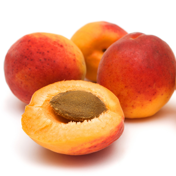 Apricot Kernel Oil
