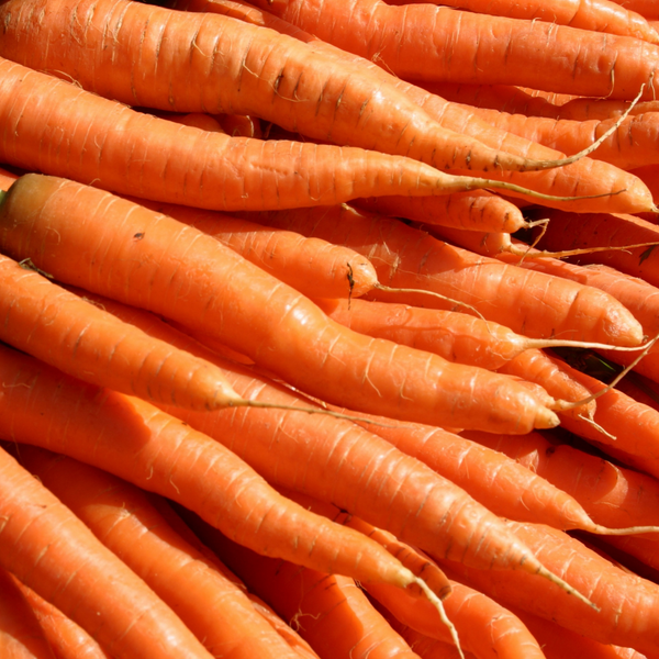 Carrot Oil