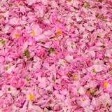 BULGARIAN ROSE WATER